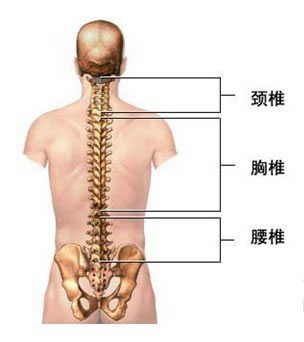 腰椎病的原因