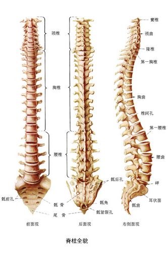 自我检查：早期腰椎病症状表现